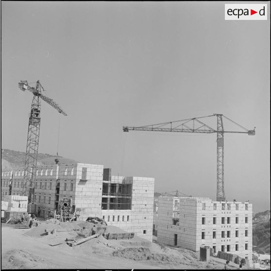 Construction de la cité de l'Avenir près de Bab-el-Oued. [Description en cours]