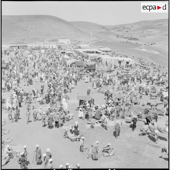 Scène de marché. [Description en cours]