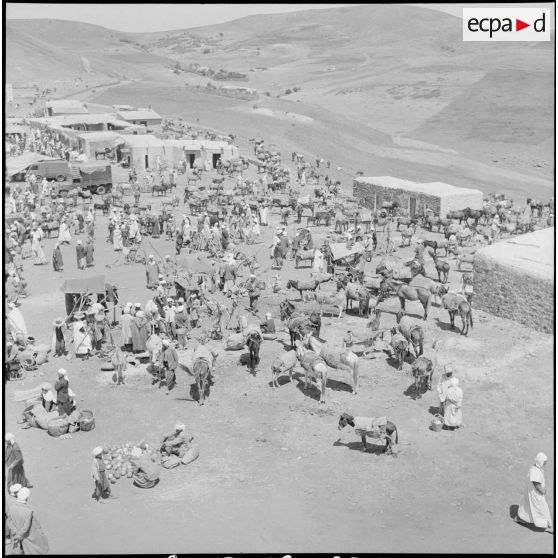 Scène de marché. [Description en cours]