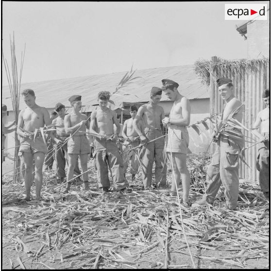 La 5e division blindée et le 19e bataillon de chasseurs à pied en opération dans les djebels à Nedroma. [Description en cours]