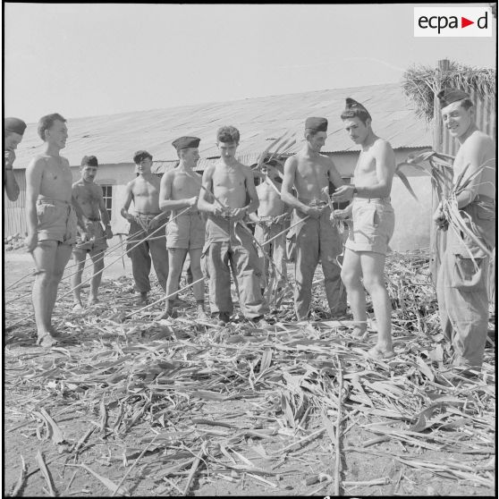 La 5e division blindée et le 19e bataillon de chasseurs à pied en opération dans les djebels à Nedroma. [Description en cours]