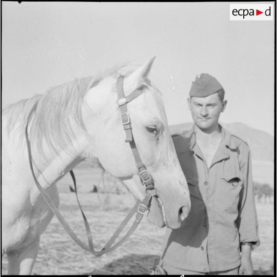 La 5e division blindée et le 19e bataillon de chasseurs à pied en opération dans les djebels à Nedroma. [Description en cours]