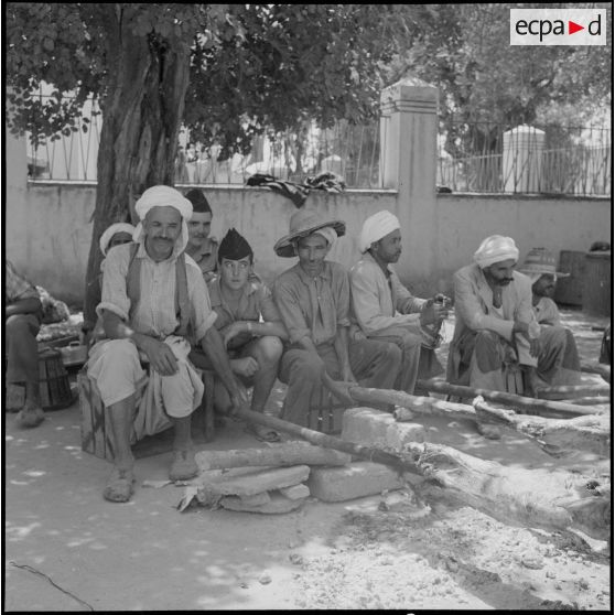 La 5e division blindée et le 19e bataillon de chasseurs à pied en opération dans les djebels à Nedroma. [Description en cours]