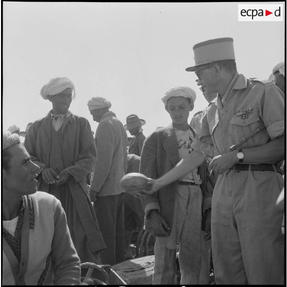 La 5e division blindée et le 19e bataillon de chasseurs à pied en opération dans les djebels à Nedroma. [Description en cours]