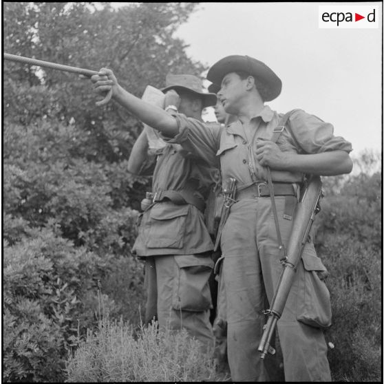 La 5e division blindée et le 19e bataillon de chasseurs à pied en opération dans les djebels à Nedroma. [Description en cours]