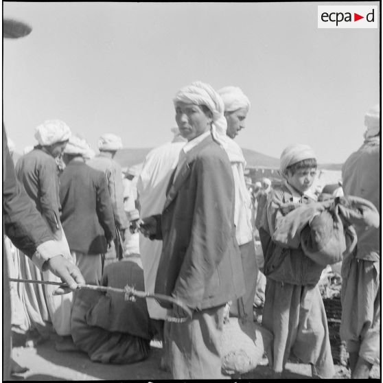 La 5e division blindée et le 19e bataillon de chasseurs à pied en opération dans les djebels à Nedroma. [Description en cours]