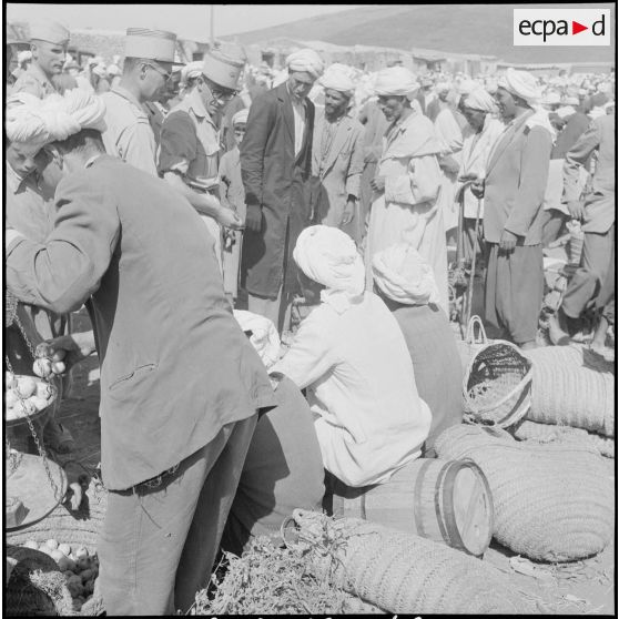 La 5e division blindée et le 19e bataillon de chasseurs à pied en opération dans les djebels à Nedroma. [Description en cours]