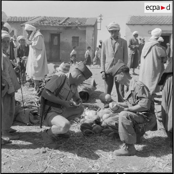 La 5e division blindée et le 19e bataillon de chasseurs à pied en opération dans les djebels à Nedroma. [Description en cours]