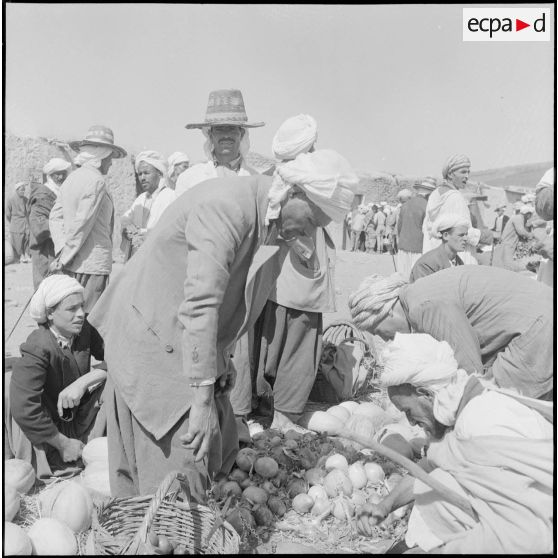 La 5e division blindée et le 19e bataillon de chasseurs à pied en opération dans les djebels à Nedroma. [Description en cours]