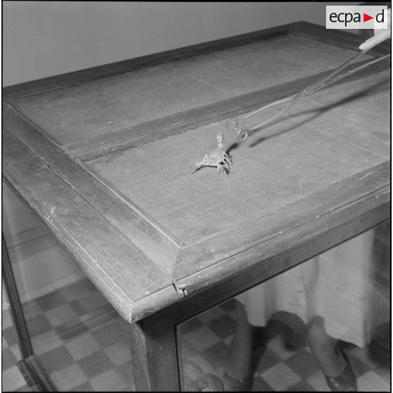 L'Institut Pasteur à Alger. [Description en cours]