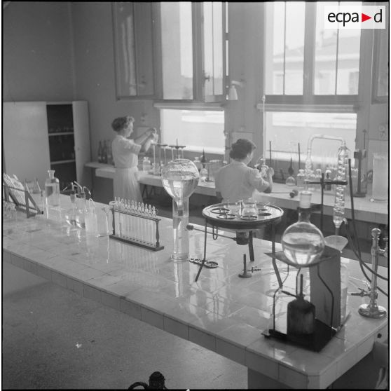 L'Institut Pasteur à Alger. [Description en cours]