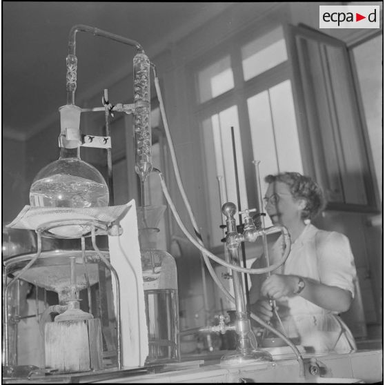 L'Institut Pasteur à Alger. [Description en cours]