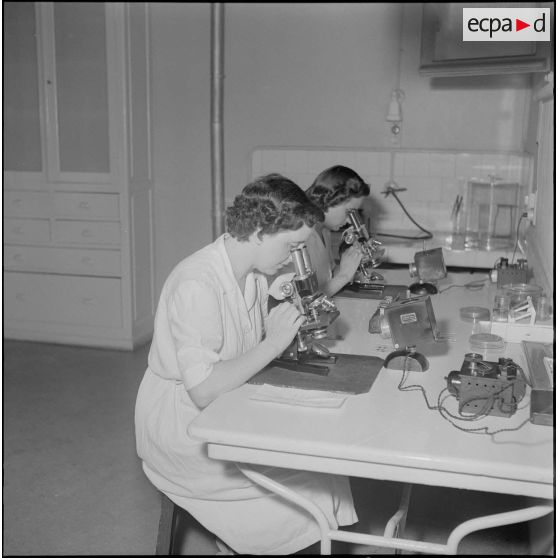 L'Institut Pasteur à Alger. [Description en cours]