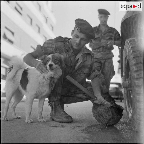 Présentation d'avions militaires à des civils. [Description en cours]