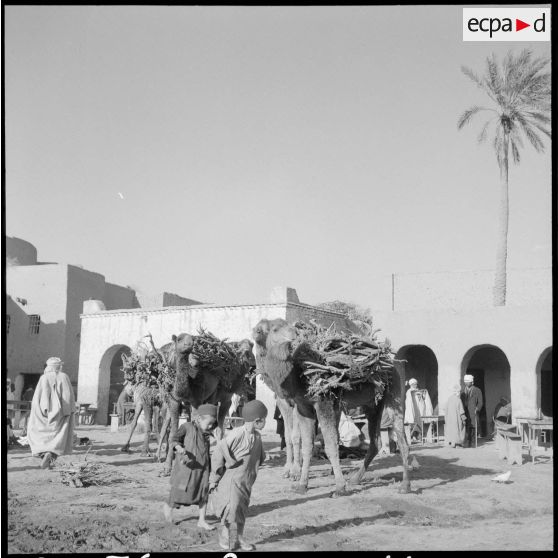 La ville d'El-Outaïa. [Description en cours]