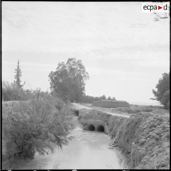 Portrait d'habitants à El-Outaïa. [Description en cours]