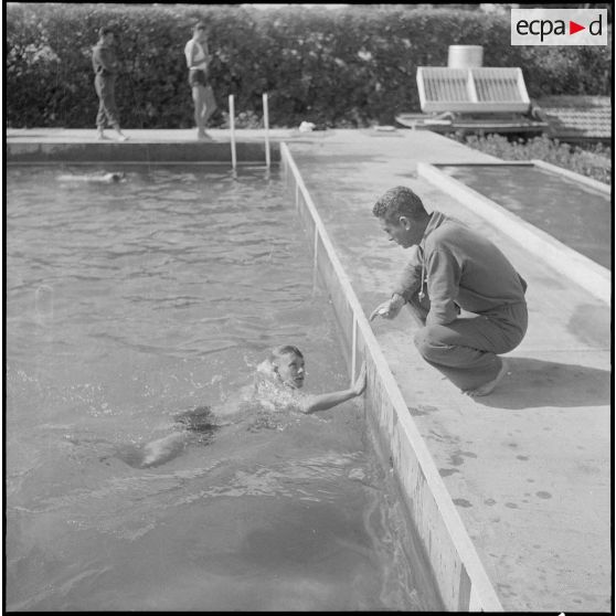 Championnat de natation d'Afrique du Nord à Maison-Carrée. [Description en cours]