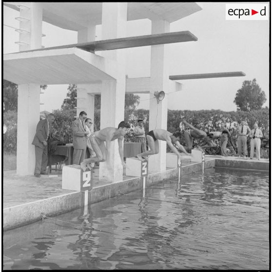 Championnat de natation d'Afrique du Nord à Maison-Carrée. [Description en cours]