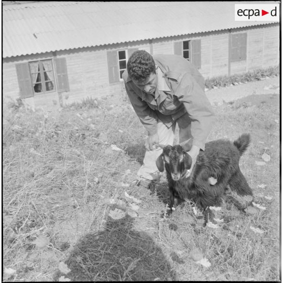 Scène de vie quotidienne militaire. [Description en cours]