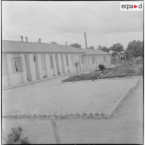 Scène de vie quotidienne militaire. [Description en cours]