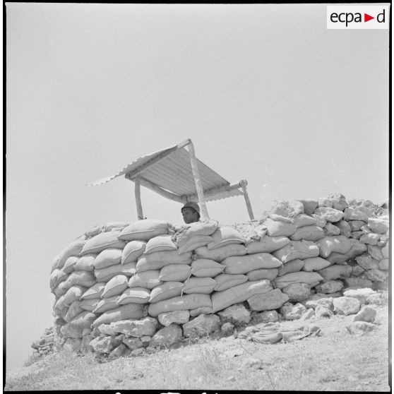 Visite au 5e RTS à Nedroma. [Description en cours]