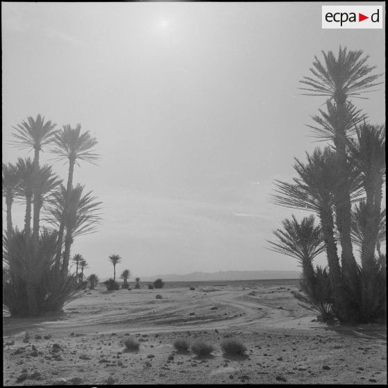 Le 2/1er RAC et les pistes sahariennes à Hassi-Messaoud. [Description en cours]