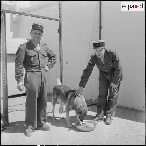 Activité quotidienne de gendarmes. [Description en cours]