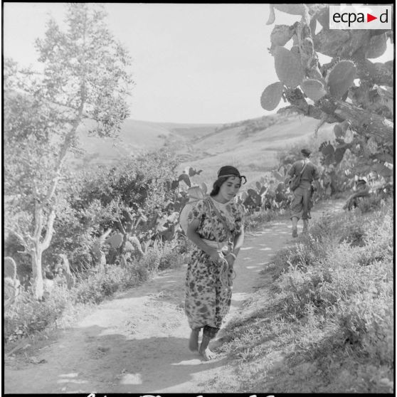 Actions de la DBFM dans la région de Bab-el-Assa. [Description en cours]