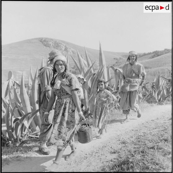 Actions de la DBFM dans la région de Bab-el-Assa. [Description en cours]