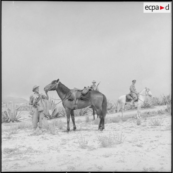 Actions de la DBFM dans la région de Bab-el-Assa. [Description en cours]