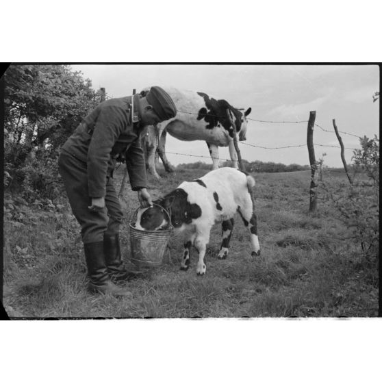 Le Sonderführer G (Gruppenführer) Hans Theyer de la Luftwaffe Kriegsberichter Kompanie 4 (Lw.KBK.4) à Hamoir (Belgique).