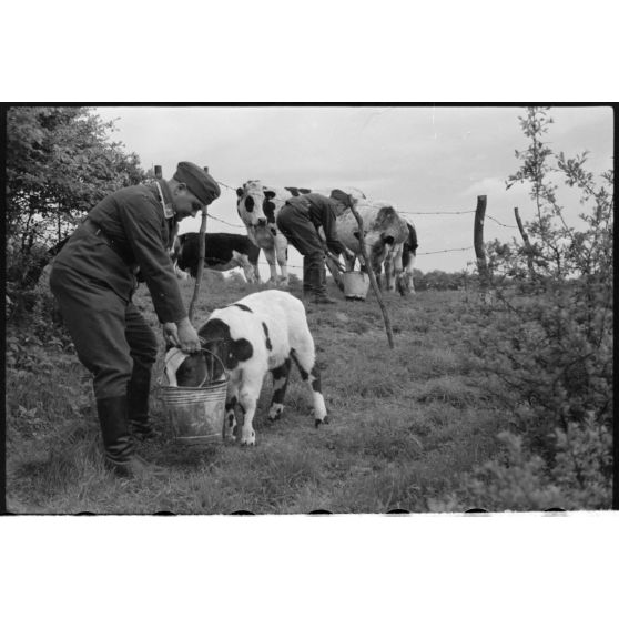 Le Sonderführer G (Gruppenführer) Hans Theyer de la Luftwaffe Kriegsberichter Kompanie 4 (Lw.KBK.4) à Hamoir (Belgique).
