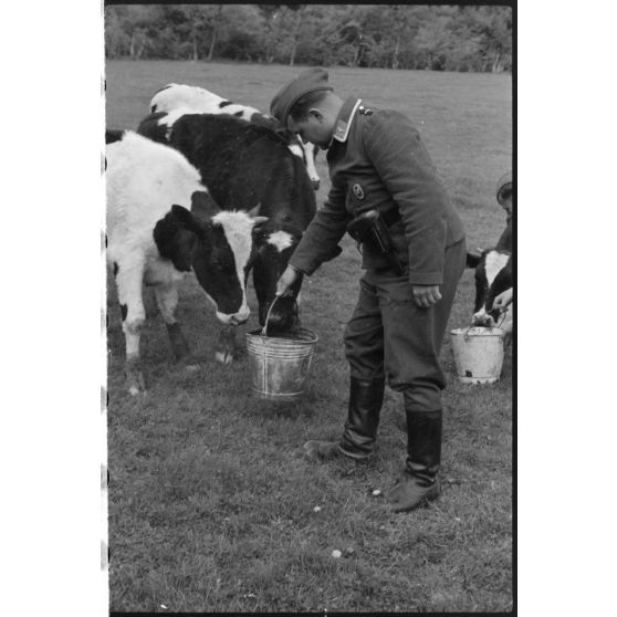 Le Sonderführer G (Gruppenführer) Hans Theyer de la Luftwaffe Kriegsberichter Kompanie 4 (Lw.KBK.4) à Hamoir (Belgique).