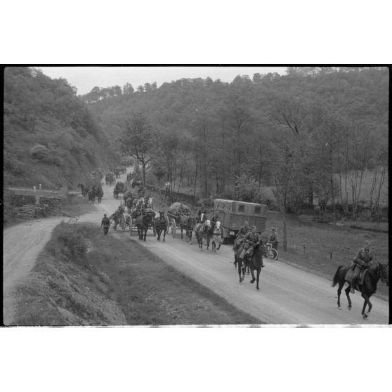 Une colonne hippomobile de l'armée de terre allemande dans le secteur de Harmor (Belgique).