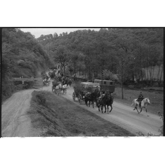 Une colonne hippomobile de l'armée de terre allemande dans le secteur de Harmor (Belgique).