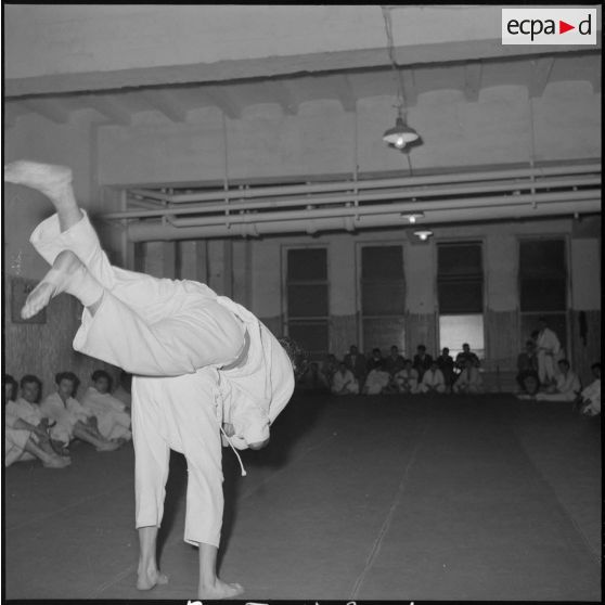 Coupe de judo. [Description en cours]