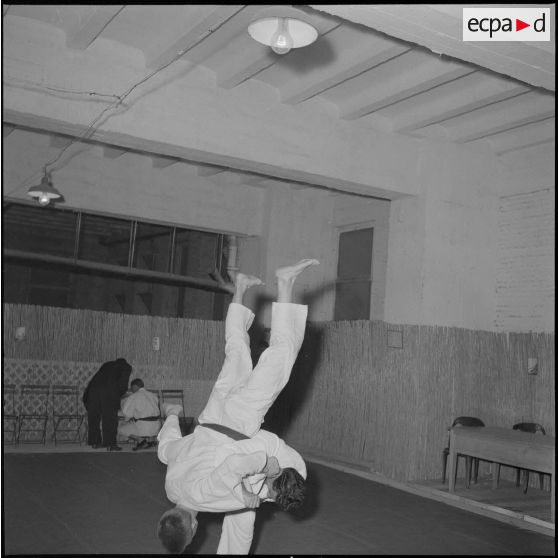Coupe de judo. [Description en cours]