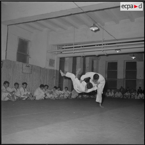 Coupe de judo. [Description en cours]