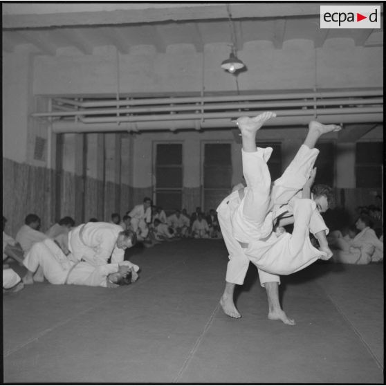 Coupe de judo. [Description en cours]