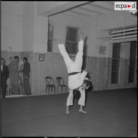 Coupe de judo. [Description en cours]
