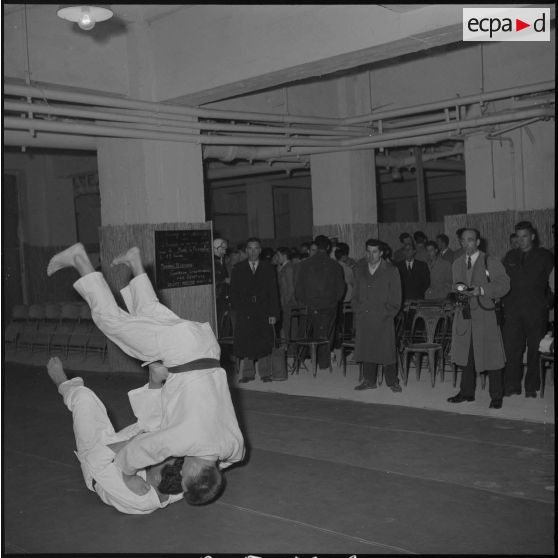 Coupe de judo. [Description en cours]