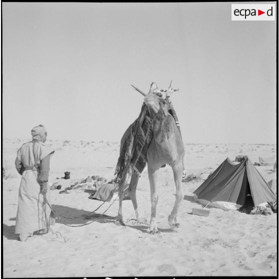 L'école des cadres d'El-Oued. [Description en cours]