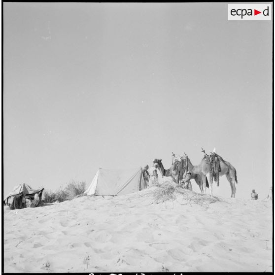 L'école des cadres d'El-Oued. [Description en cours]
