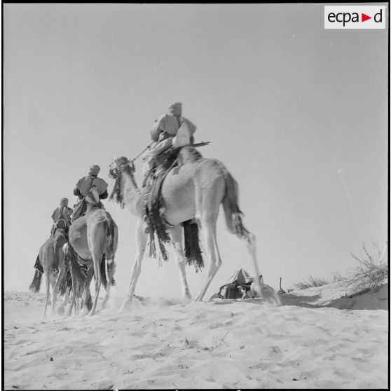 L'école des cadres d'El-Oued. [Description en cours]