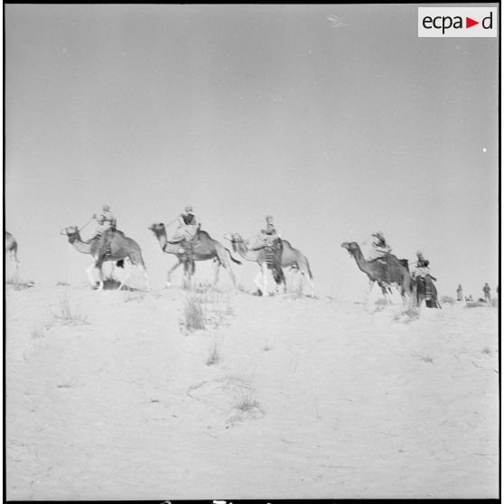 L'école des cadres d'El-Oued. [Description en cours]