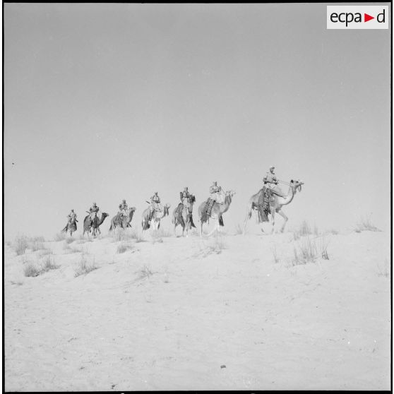 L'école des cadres d'El-Oued. [Description en cours]
