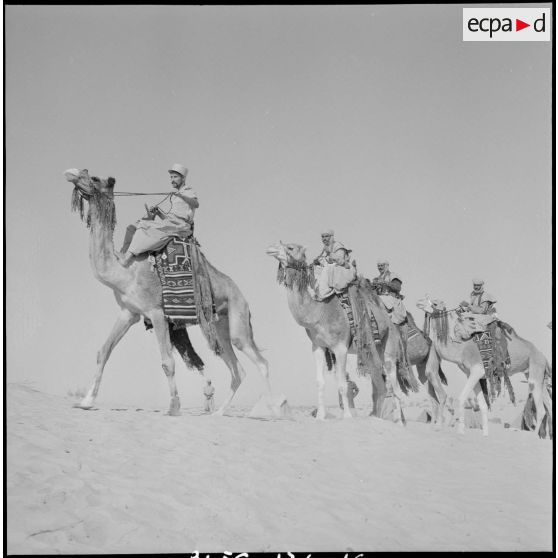 L'école des cadres d'El-Oued. [Description en cours]