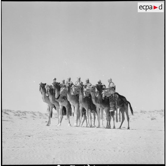 L'école des cadres d'El-Oued. [Description en cours]