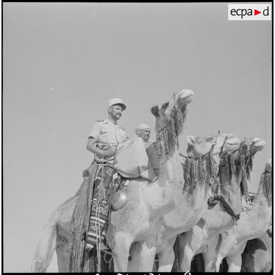 L'école des cadres d'El-Oued. [Description en cours]