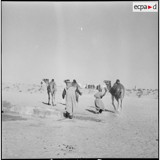 L'école des cadres d'El-Oued. [Description en cours]